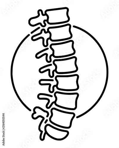 Anatomical line drawing of a human spinal column showing vertebrae and discs within a circular frame for medical education and chiropractic health concepts