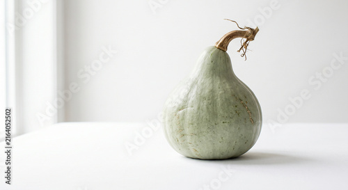 Single light green gourd with a curved stem on a clean white background with soft natural light creating a minimalist and serene still life