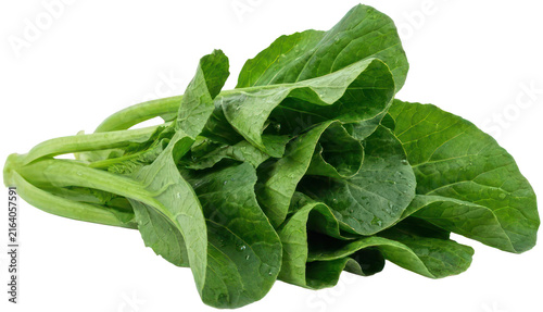 Canvastavla Fresh green choy sum vegetable bunch.