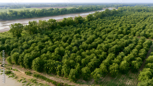 Riverfront Orchard Landscape