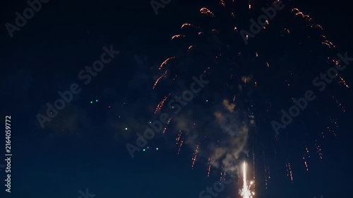 Colorful Fireworks Display in Night Sky Video Storyboard