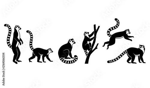 Ring-Tailed Lemur Silhouette Set in Different Poses Wildlife Vector IllustrationRing-Tailed Lemur Silhouette Set in Different Poses Wildlife Vector Illustration