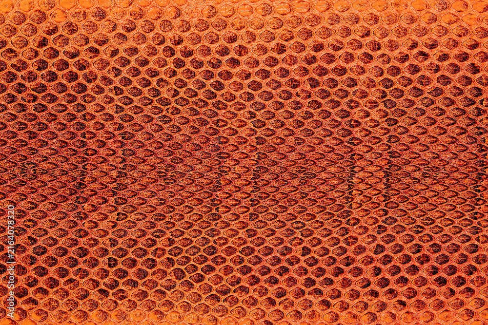 Fototapeta premium Red python snake skin as abstract background, exotic animals. Natural snake skin pattern.