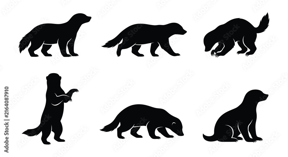 Fototapeta premium Badger silhouettes in various poses a flat vector illustration