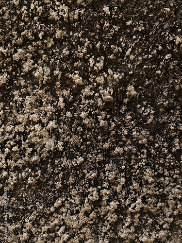 Photography Rough dark brown concrete wall texture with coarse stucco plaster surface