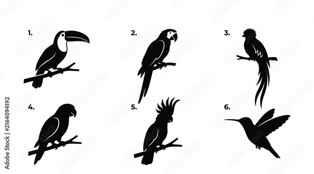 Fototapeta premium Collection of tropical bird silhouettes against a plain white background