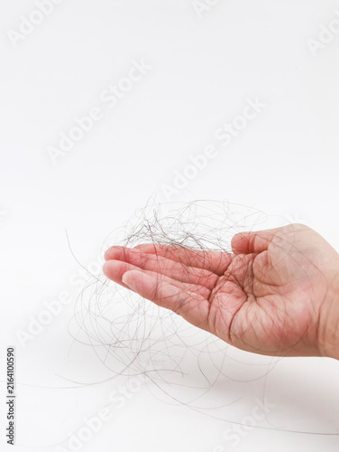 Close-up of a person holding a large clump of fallen or shed hair in their hand against a clean white background. Concept photo for hair loss, shedding, thinning hair, and hair care treatments.