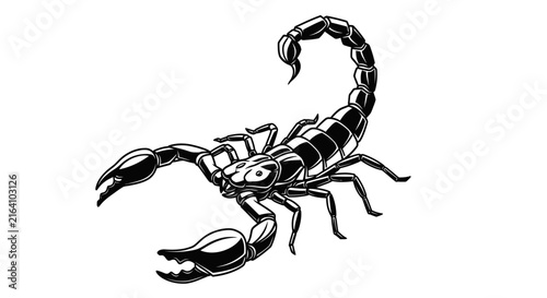 Photography Detailed Black and White Scorpion Illustration