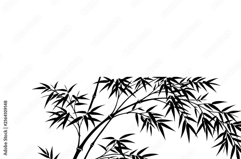 Fototapeta premium bamboo