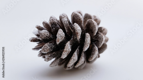 A pine cone sits on a white surface. Frost covers the edges of the pine cone creating a winter scene. The light highlights the texture and details of the cone