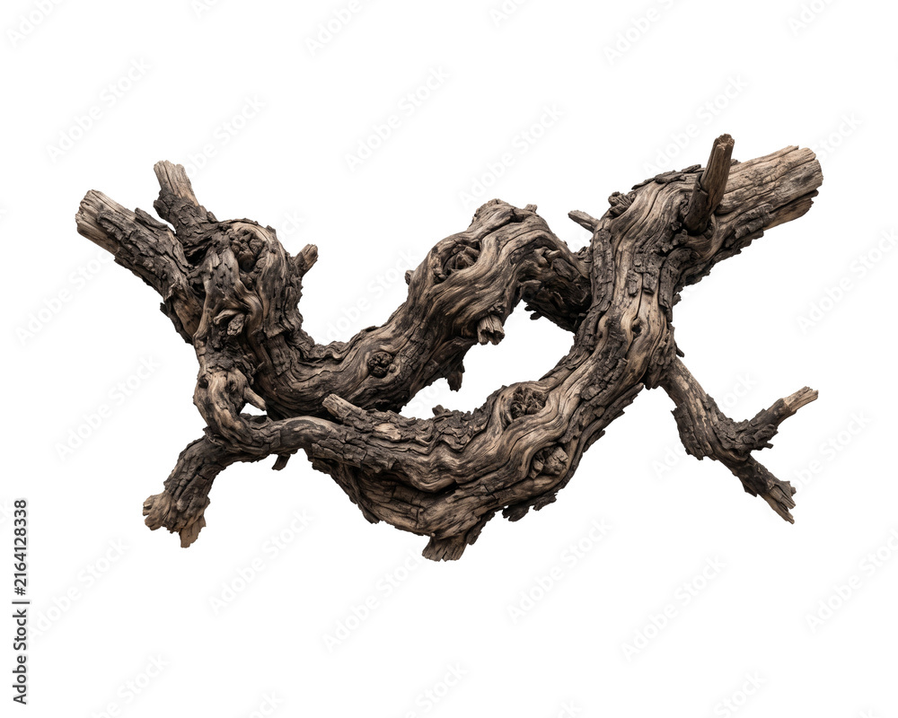 Fototapeta premium Knotted tree branch is isolated on a black background
