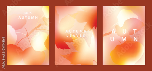 Abstract blur gradient autumn card background set. Minimalist poster with ginkgo and maple leaf. Modern fall season wallpaper design for home decoration, website, banner, ads.