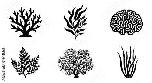 Obraz na plátne Collection of marine coral and seaweed silhouettes on a white background