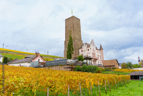 Boosenburg Castle Tower Rises Over Golden Autumn Vineyards at Rüdesheim