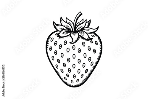 Strawberry illustration drawing sketch isolated on transparent background for design.
