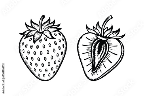Strawberry illustration whole and half vintage drawing.
