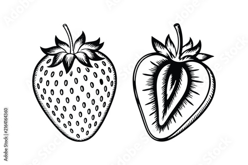 Strawberry and halved strawberry illustration, black ink sketch for food.