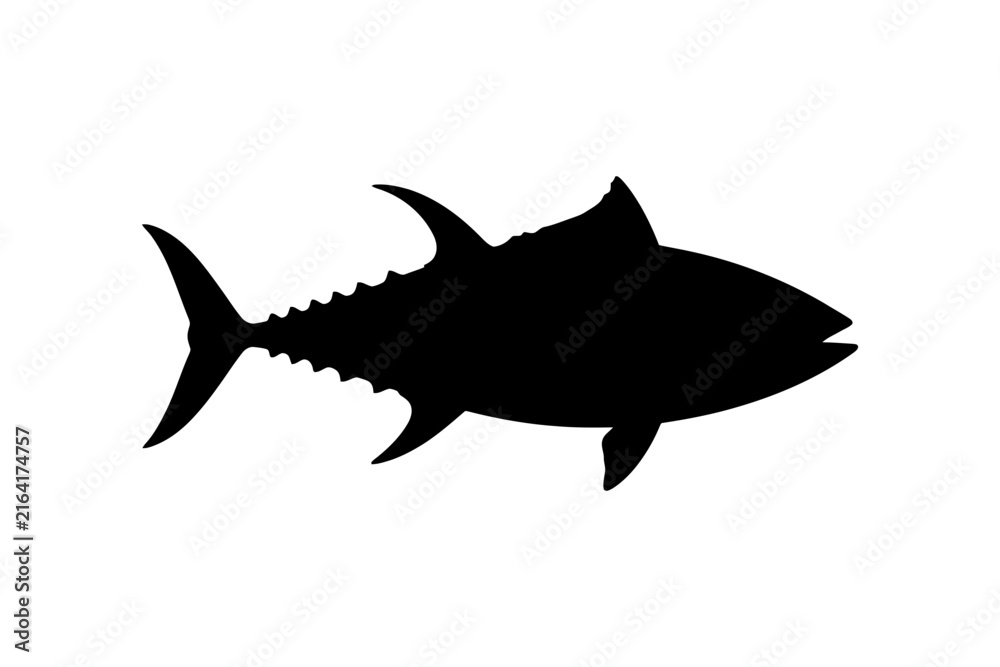 Obraz premium Silhouette of a tuna fish with detailed body and fins on a white background.