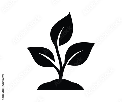 Plant growing icon silhouette
