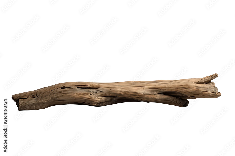 Fototapeta premium Weathered Driftwood Log