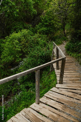Wooden bridge surrounded by green trees in a mountain landscape
