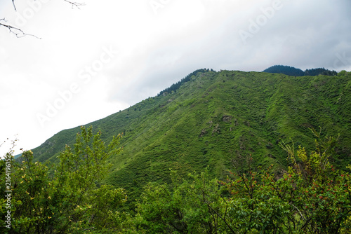 Green mountain landscape under a cloudy hazy sky