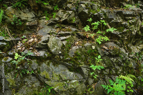 Rocky mountain surface with natural stone texture close-up