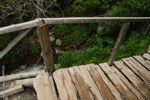 Wooden bridge surrounded by green trees in a mountain landscape