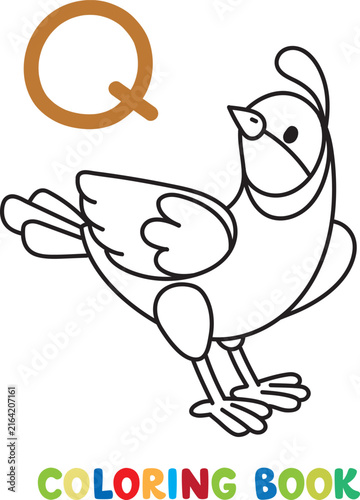 Funny quail. Animals coloring book Alphabet Q