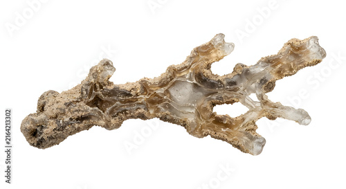 Natural fulgurite specimen created by lightning strike isolated on white background.Petrified lightning tube fused silica sand glass geological mineral specimen.