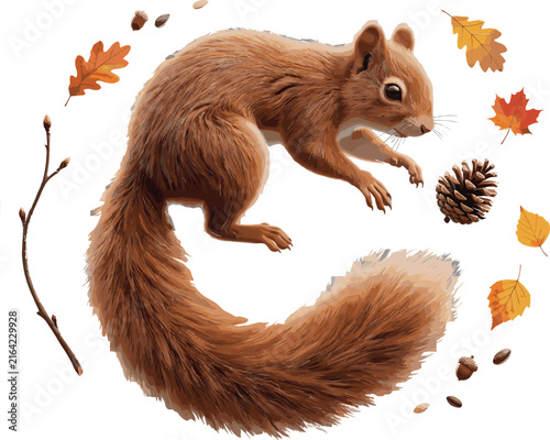 Squirrel Wildlife Illustration Featuring Fluffy Tail, Autumn Leaves, Pine Cone and Forest Nature Scene