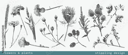 Foto Vintage botanical set of various flowers and plants with grunge photocopy effect