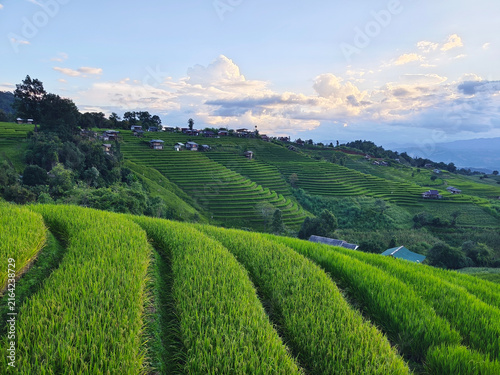 Landscape of northern mountainous and terraced rice fields