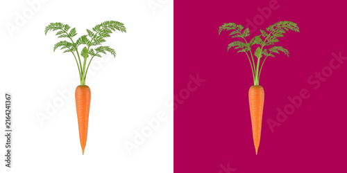 Fresh orange carrot with green leaves vegetable graphic resource for food design transparent png