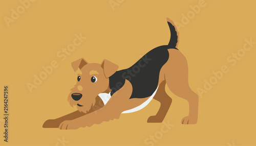 Playful brown and black airedale terrier dog stretching in a play bow pose on a solid orange background.