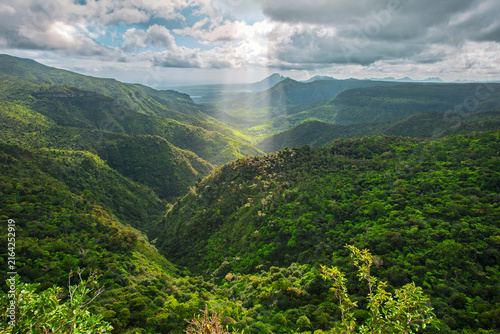 Lush Mountain Landscape in Black River Gorges National Park, Mauritius