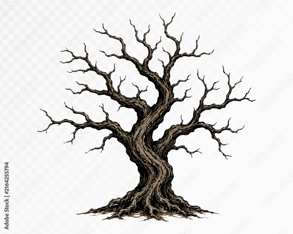 Fototapeta premium Old forked tree with winding branches watercolor vector art