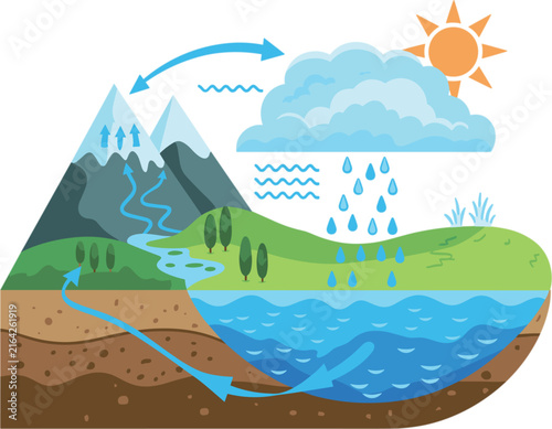 Water cycle diagram vector, infographic chart illustration of natural hydrologic ecosystem process