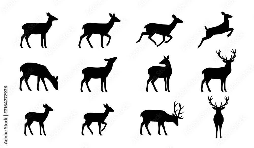 Fototapeta premium Black Deer Silhouette Collection with Stag Fawn Running and Walking Animal Poses Vector