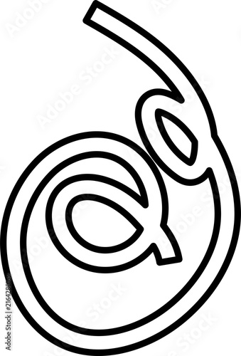 Line various spiral set. Element funny style