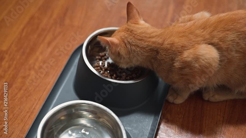A cat is eating from a bowl on a wooden floor. The cat is orange and there is a water bowl next to the food bowl