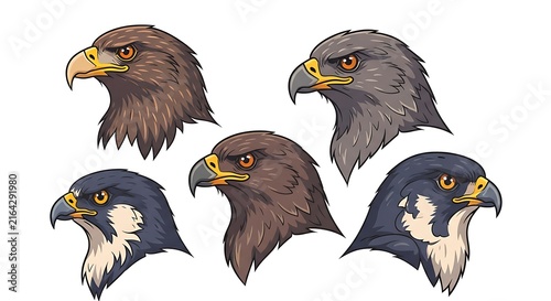 Collection of Detailed Cartoon Falcon and Eagle Heads Facing Left