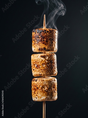 Toasted Marshmallows on a Stick for Camping Trips and Outdoor Summer