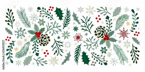 Christmas botanicals featuring holly fir and pinecones in a vector illustration