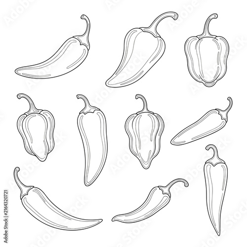 Outline Line Art Sketches of Various Chili Peppers
