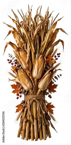 Dried Corn Stalk Bundle Isolated on Transparent Background