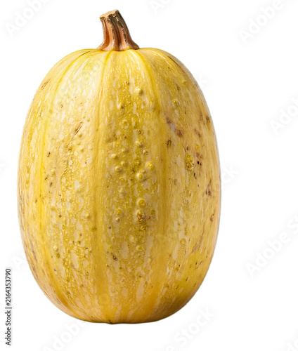 Yellow Spaghetti Squash Isolated on Transparent Background