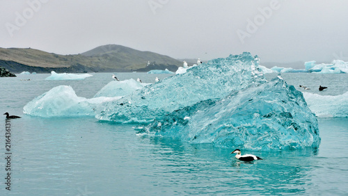 Ice floes on a lake in Iceland, abstract landscape