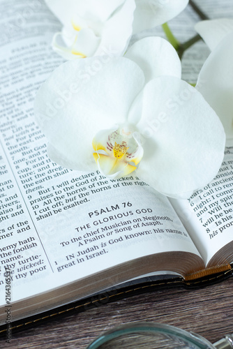 Inspirational christian text for the glory of God in holy bible book. Biblical concept.