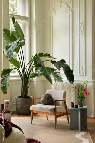 Elegant and cozy living room interior with a large green houseplant, comfortable armchair, and classic architectural wall moldings for home decor